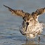 thumbs/IMG_2715.jpg